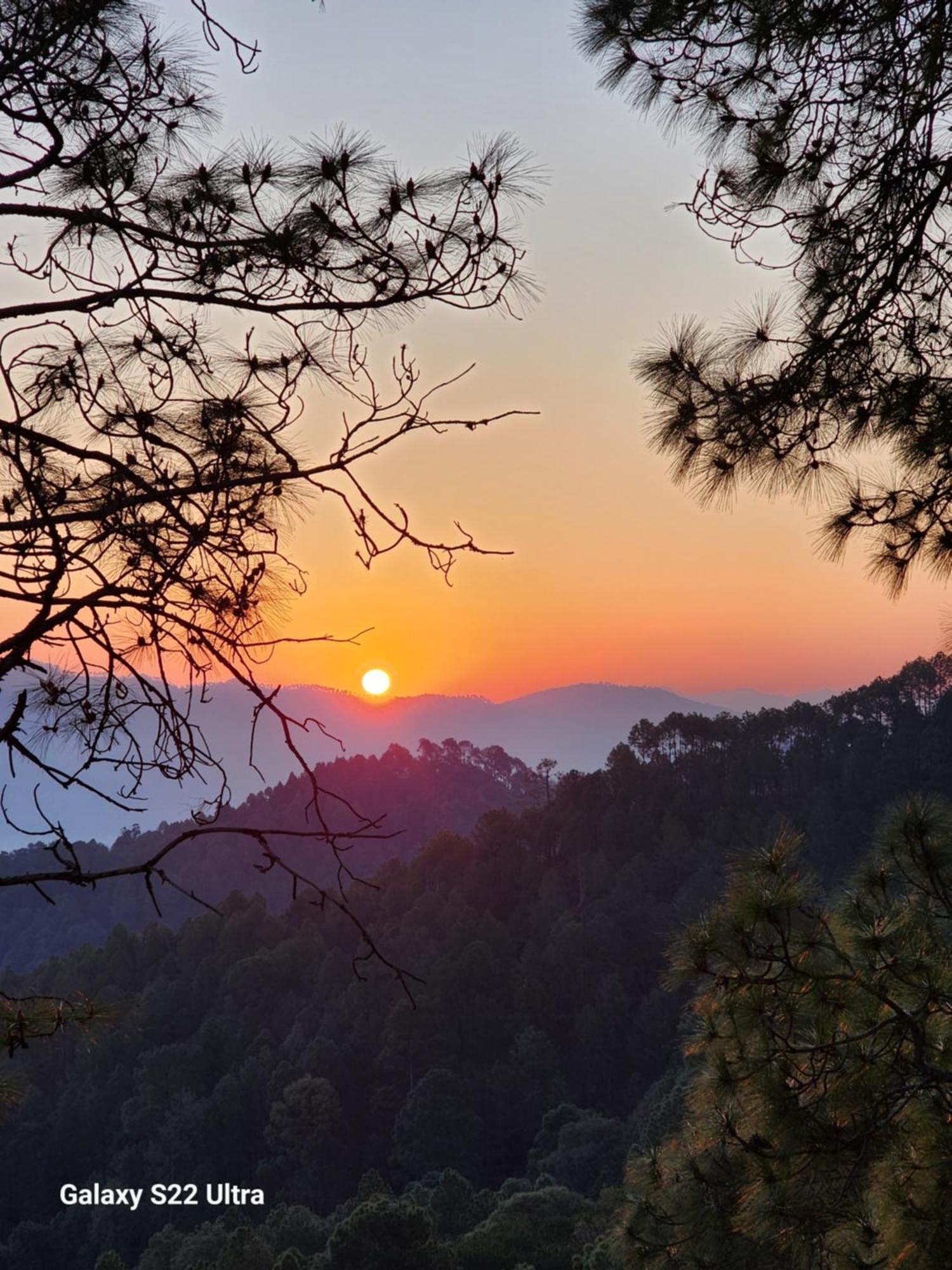 Nandini Cottage, A Premium Boutique Homestay Ranikhet Ngoại thất bức ảnh