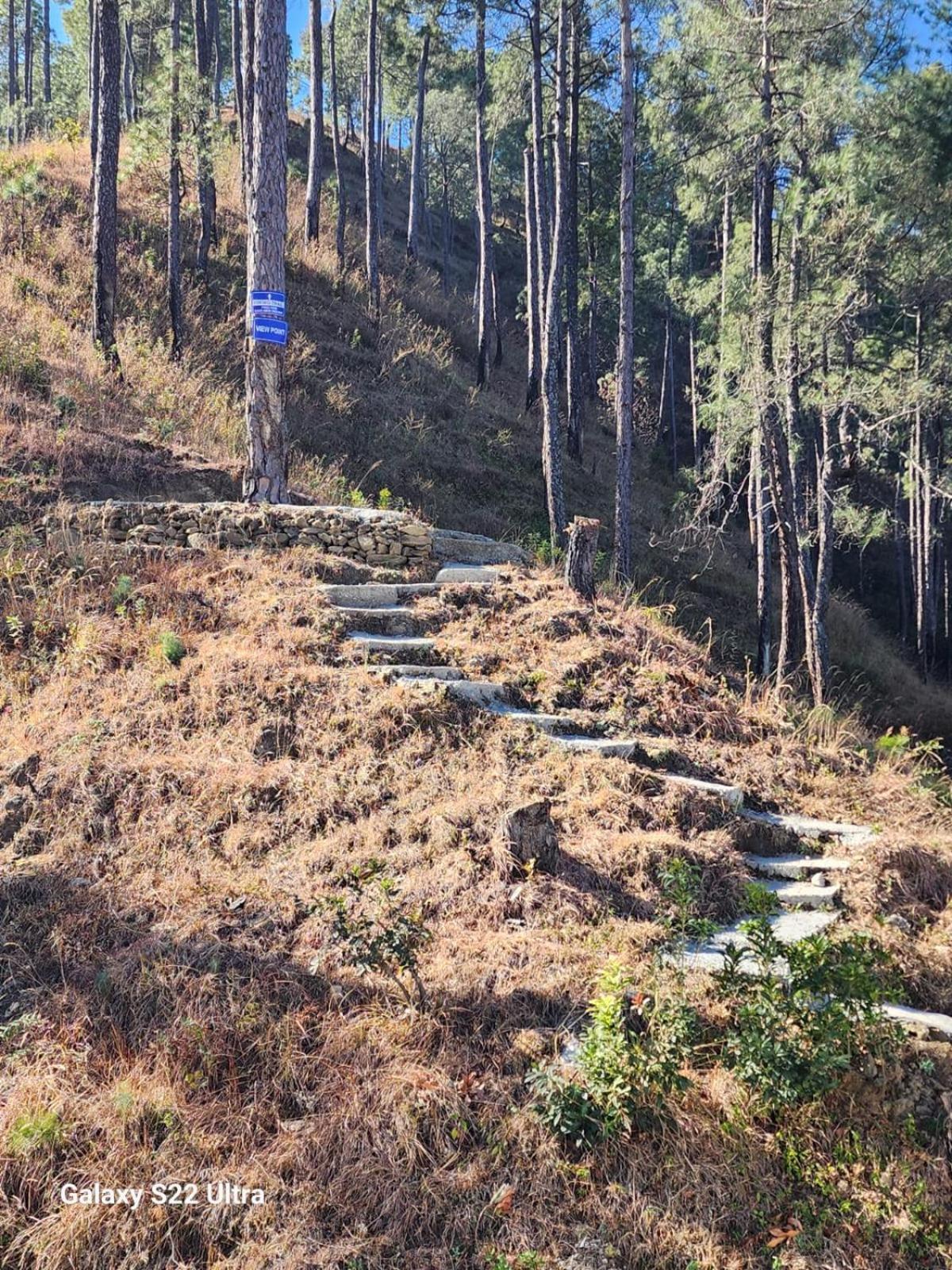 Nandini Cottage, A Premium Boutique Homestay Ranikhet Ngoại thất bức ảnh