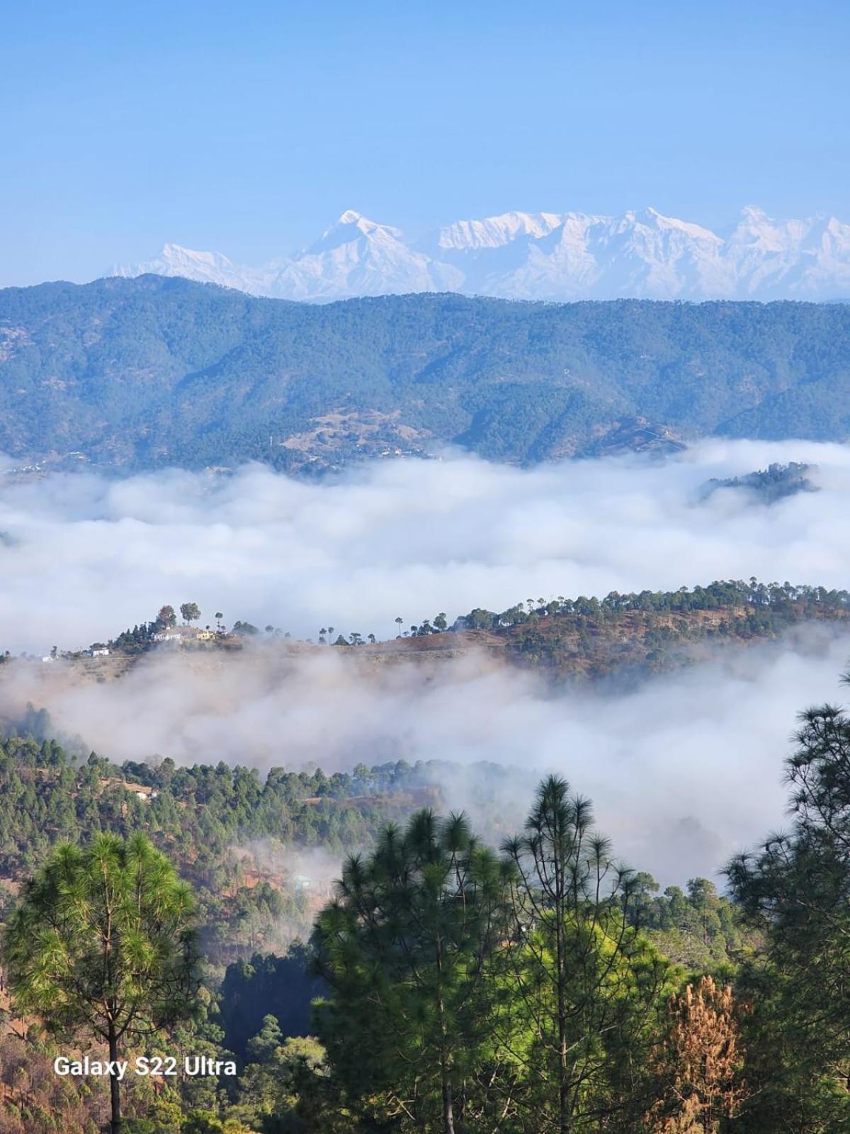 Nandini Cottage, A Premium Boutique Homestay Ranikhet Ngoại thất bức ảnh
